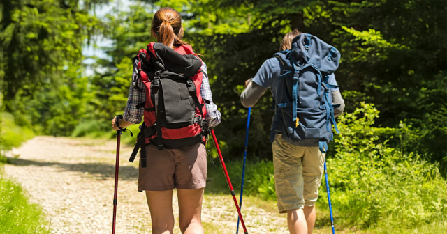 Zwei Personen von hinten mit Rucksack und Wanderstöcken auf einem Waldweg